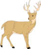 Deer With Fur Clip Art